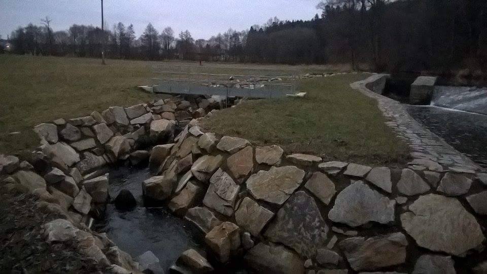 Čejna